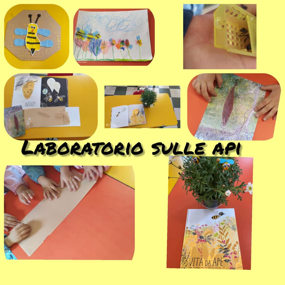 Infanzia san vito 4